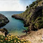 Vignali 3*