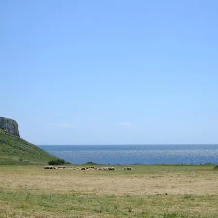Vignali 3*
