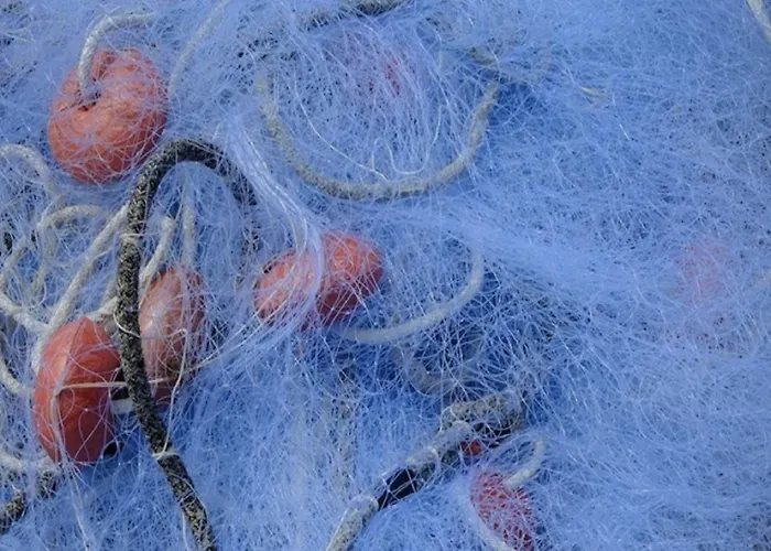 Bed and breakfast Vignali 3*