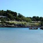 Vignali Дизо