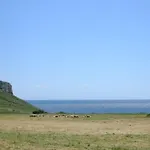 Vignali 3*