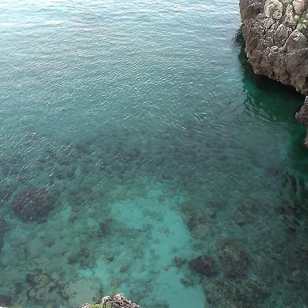 Vignali ディーゾ