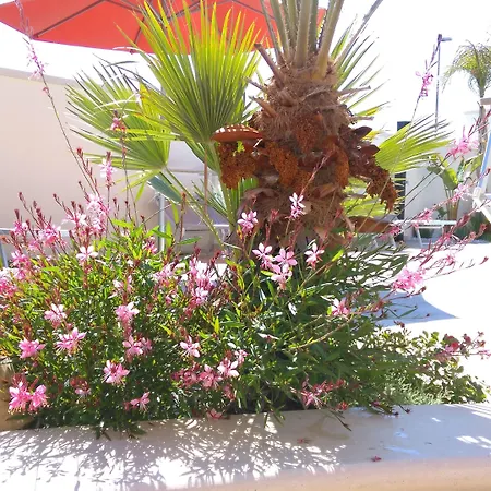 Vignali Bed & Breakfast